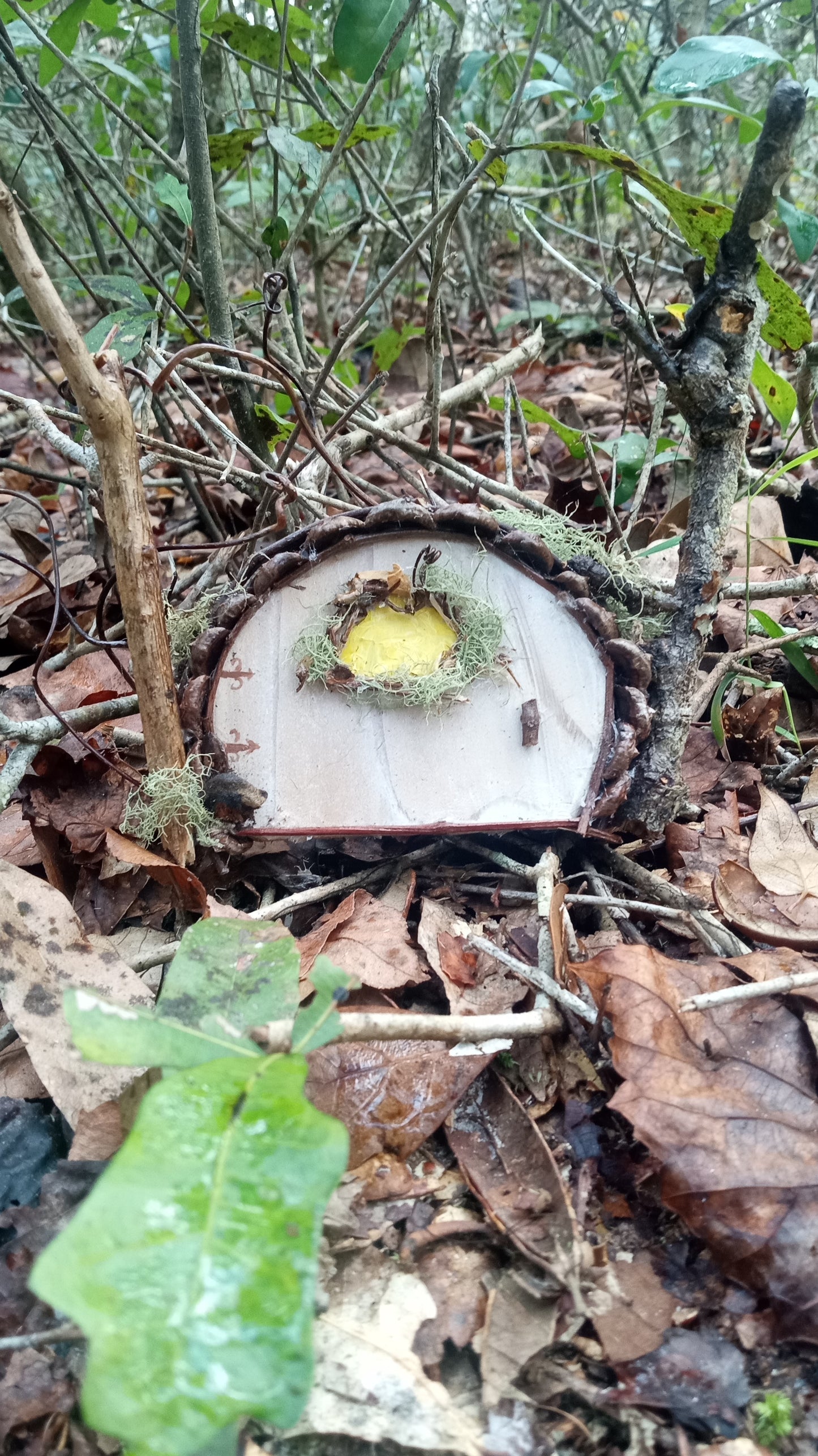 Fairy Doors & Houses