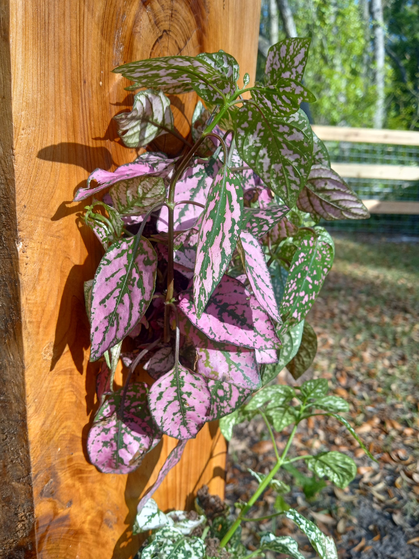 Farmhouse Flower Tower